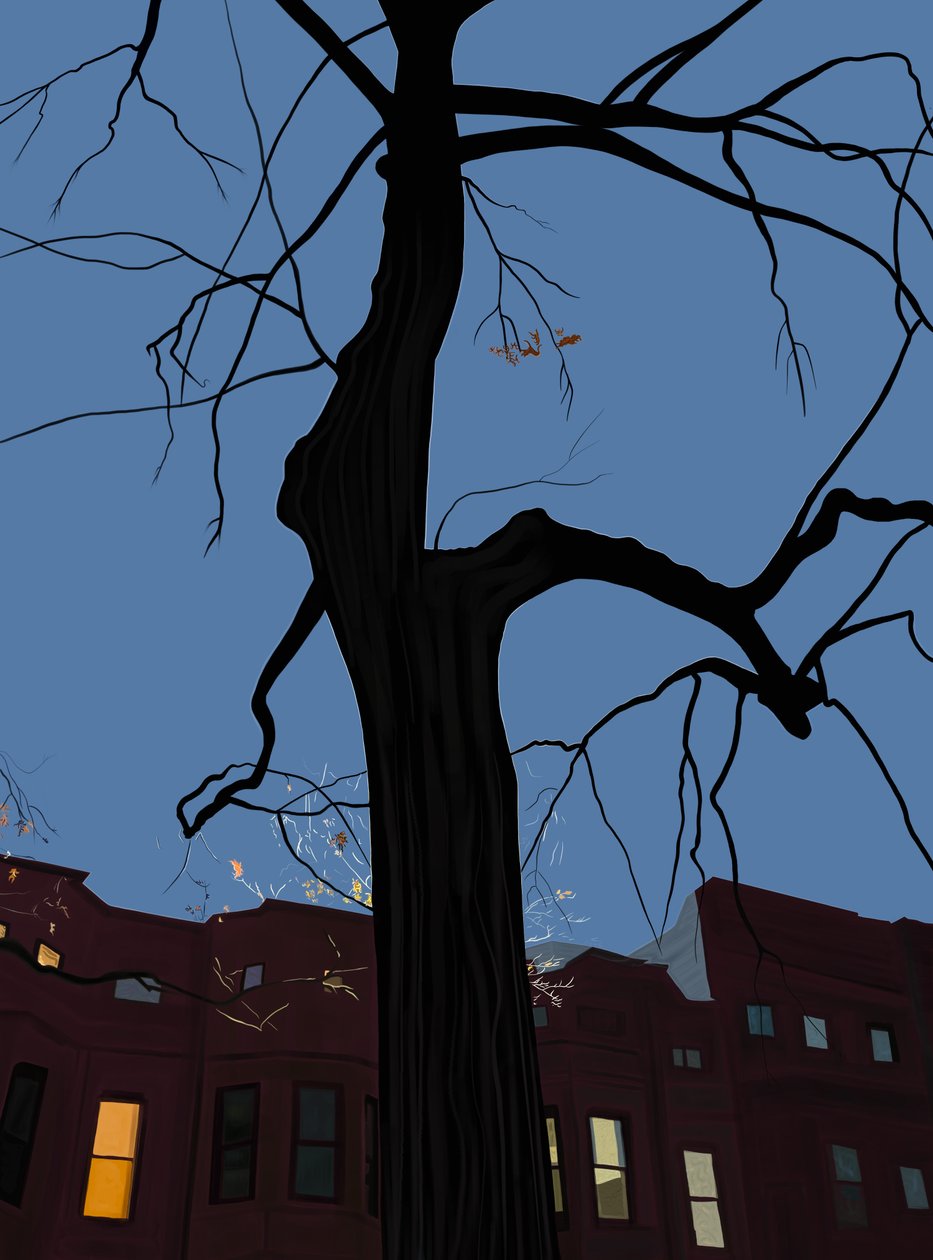 Huizen en bomen bij nacht, Brooklyn. (digitale kunst) door Evan Sklar