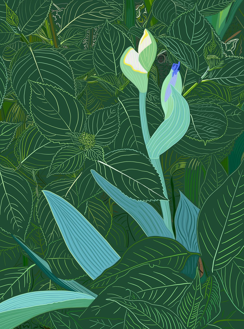 Iris en hortensia, 2025 (digitale kunst) door Evan Sklar