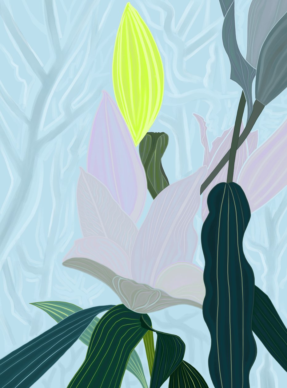 Lily (digitale kunst) door Evan Sklar