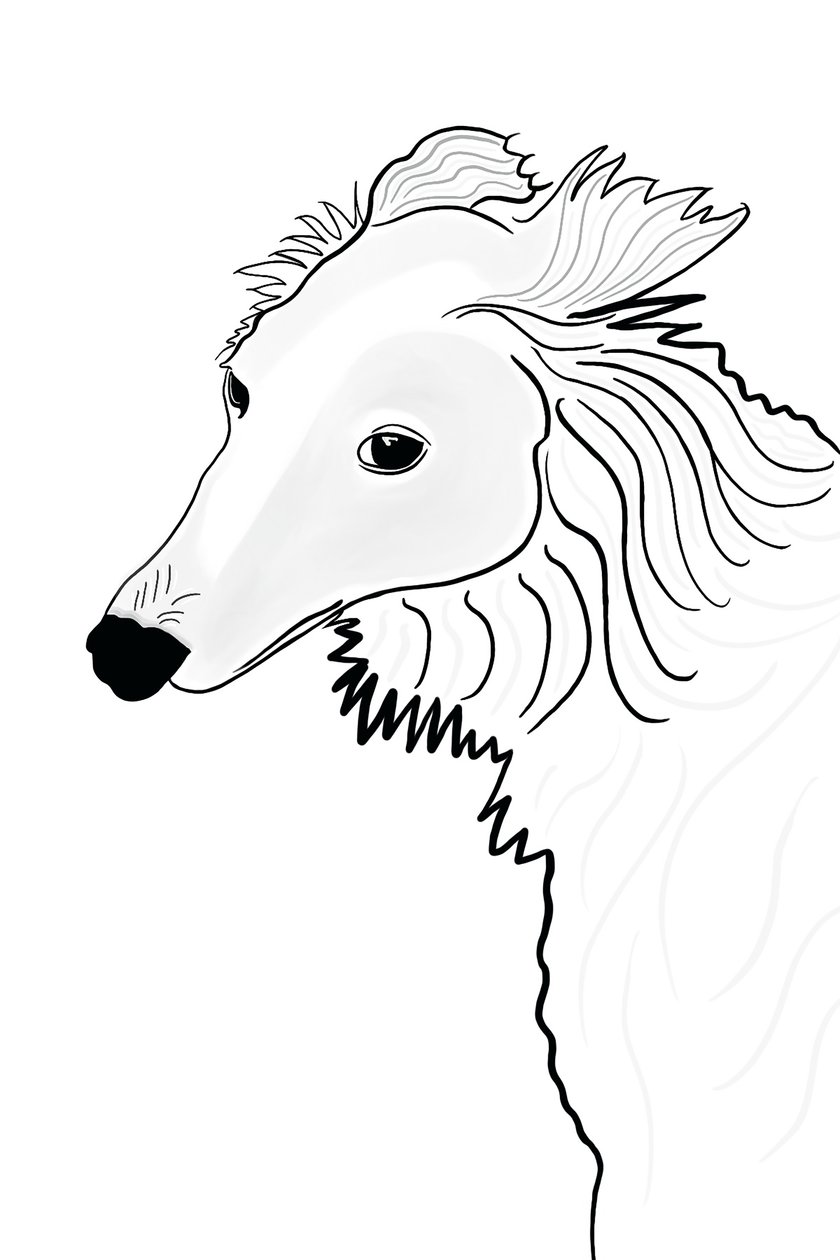 Lijntekening van Silken Windhound (digitale kunst) door Evan Sklar