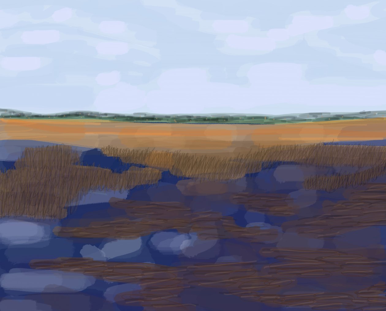 Low Country, 2016 (met de hand getekend op een iPad met een Apple potlood) door Evan Sklar