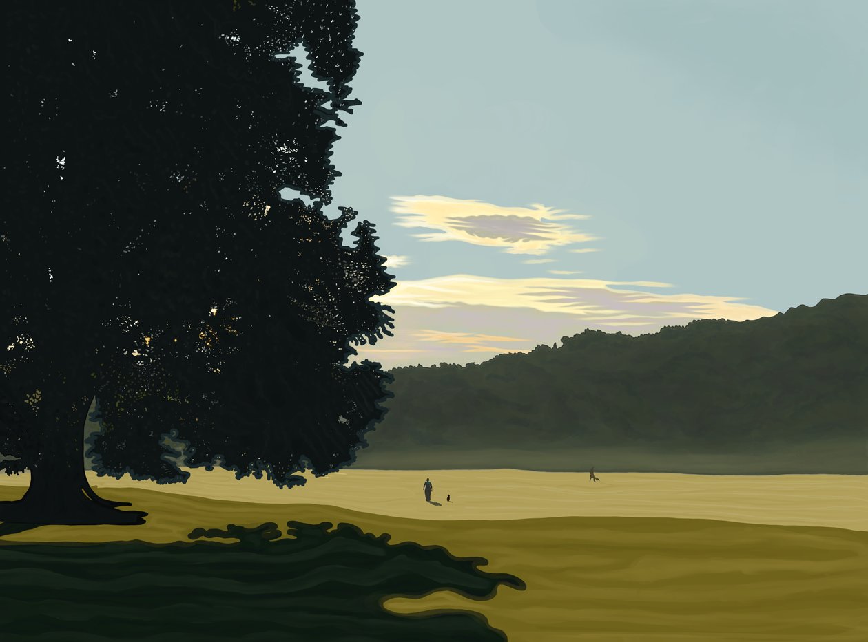 Ochtendmist, Prospect Park, Brooklyn (digitale kunst) door Evan Sklar