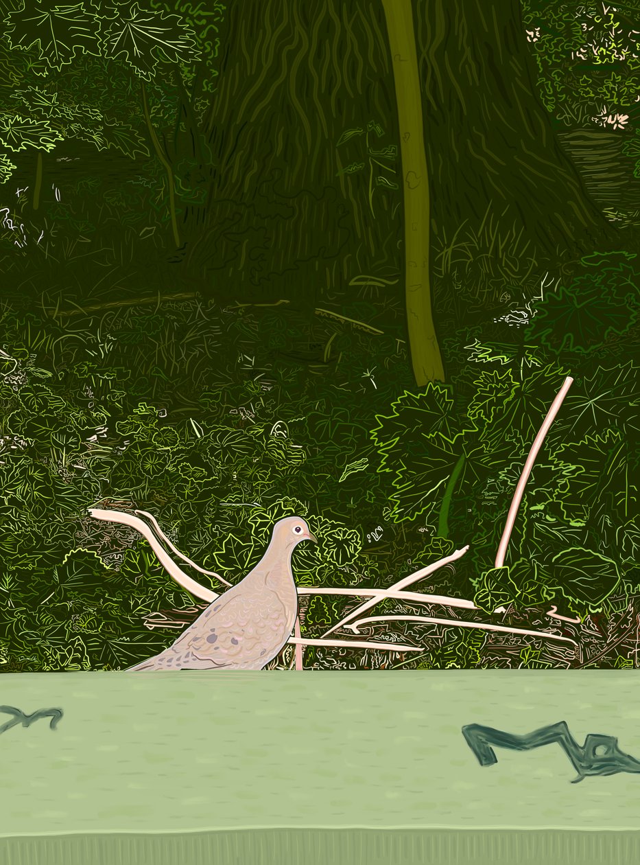 Rouwduif op muur van Prospect Park, c.2020-24 (digitale kunst) door Evan Sklar