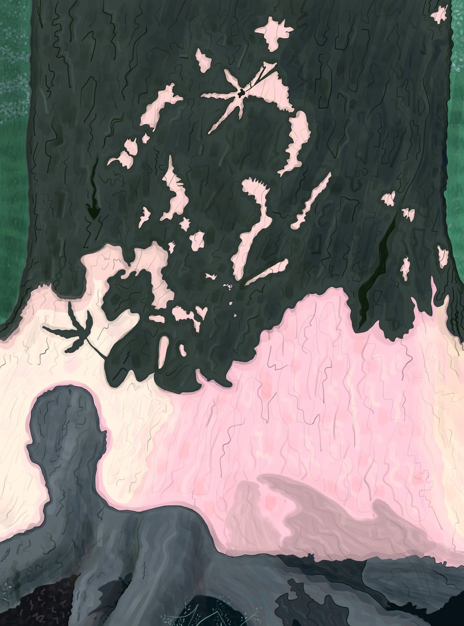 Mijn schaduw op boom, Brooklyn (digitale kunst) door Evan Sklar