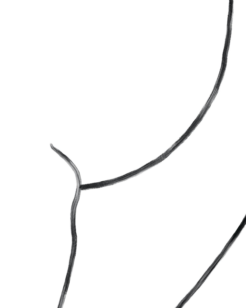 Naakt. (digitale kunst) door Evan Sklar