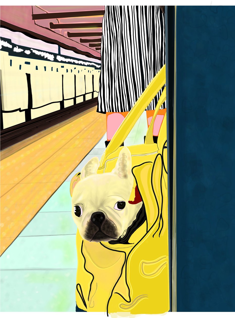 Metro forens met hond in tas, Brooklyn (digitale kunst) door Evan Sklar