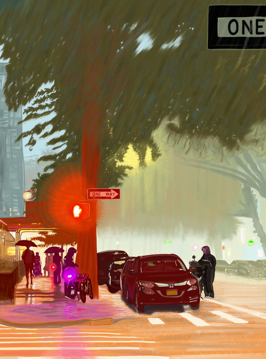 Zomerregen, 2025 (digitale kunst) door Evan Sklar