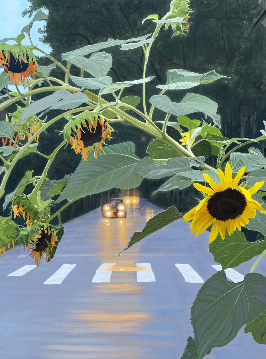 Zonnebloemen en auto