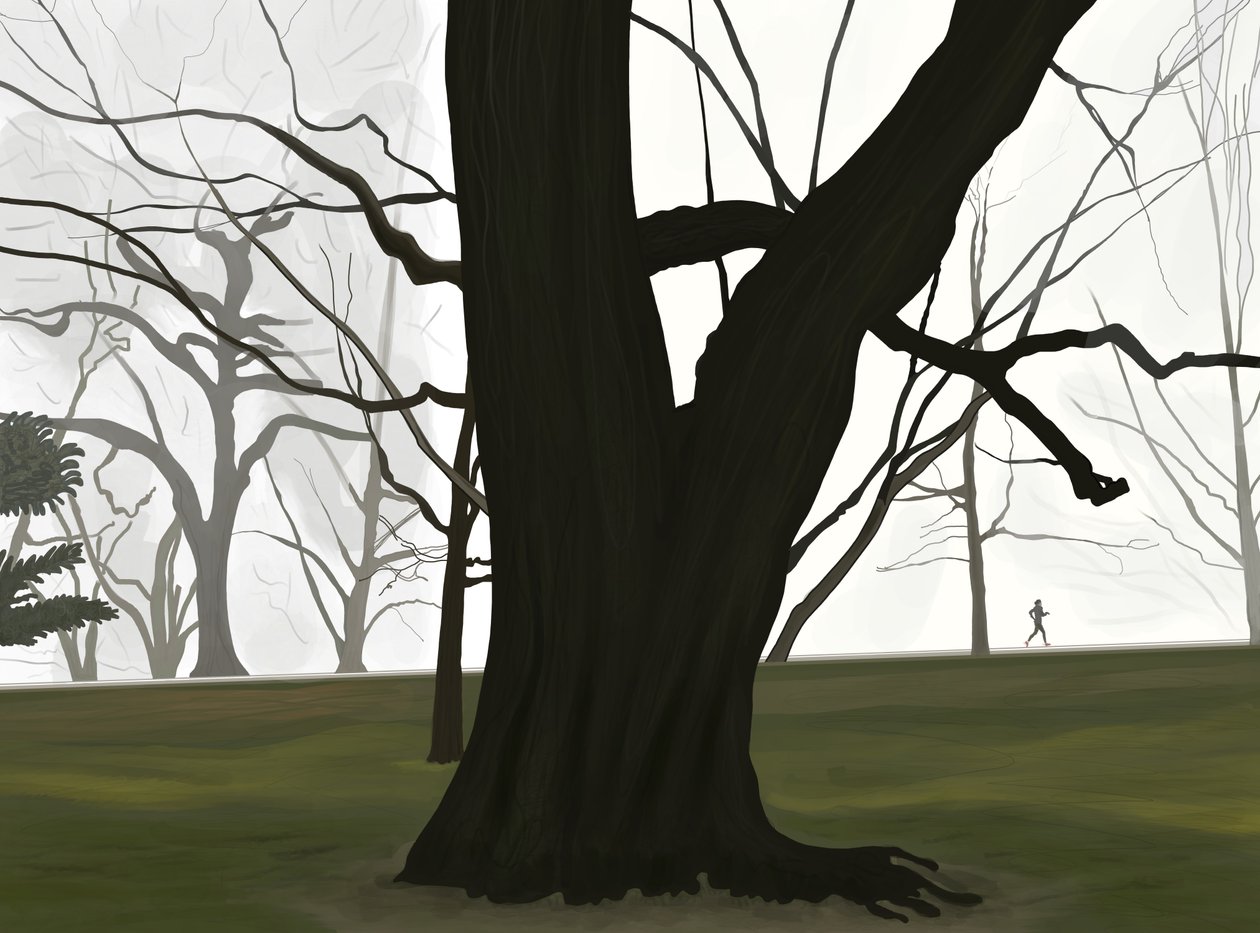 Boom en jogger. Vroege ochtend. Prospect park (digitale kunst) door Evan Sklar