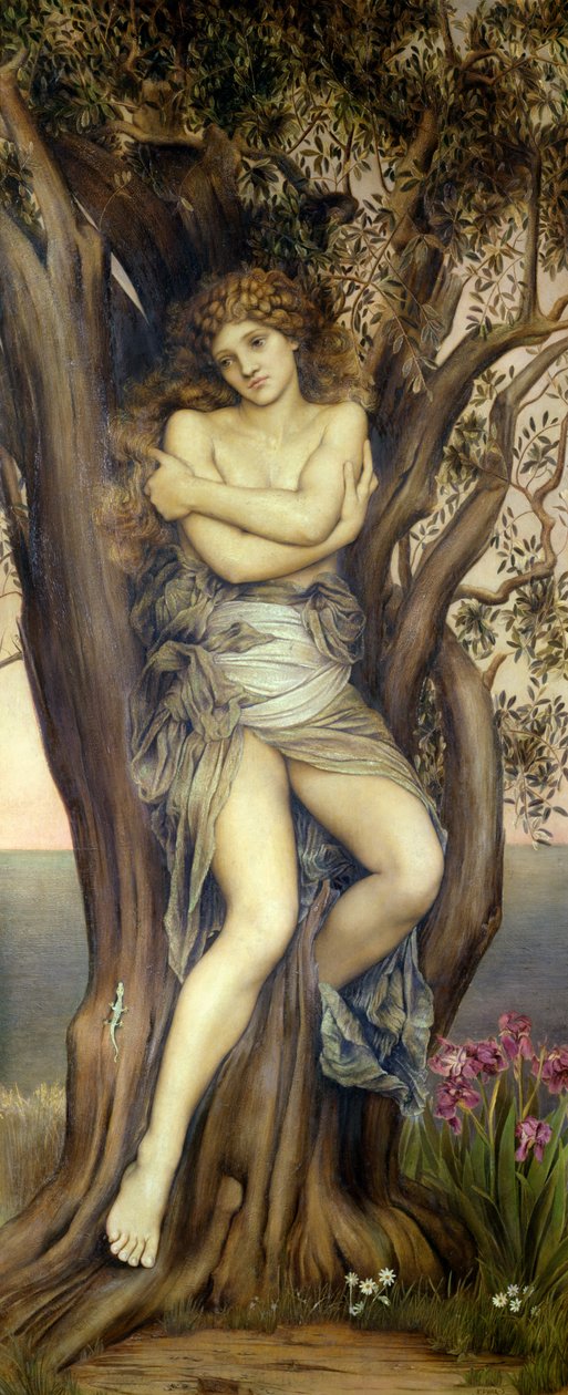 De Dryade, 1884-85 door Evelyn De Morgan