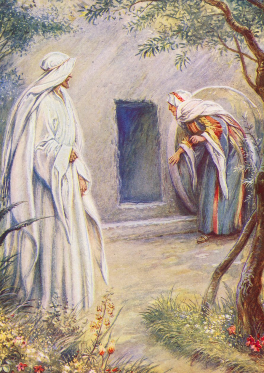  door Evelyn Stuart Hardy