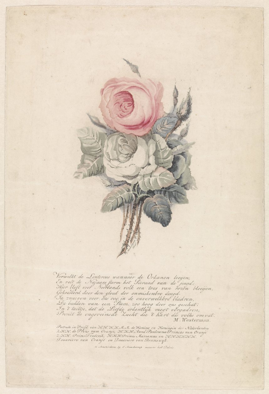 Rozen door Evert Maaskamp