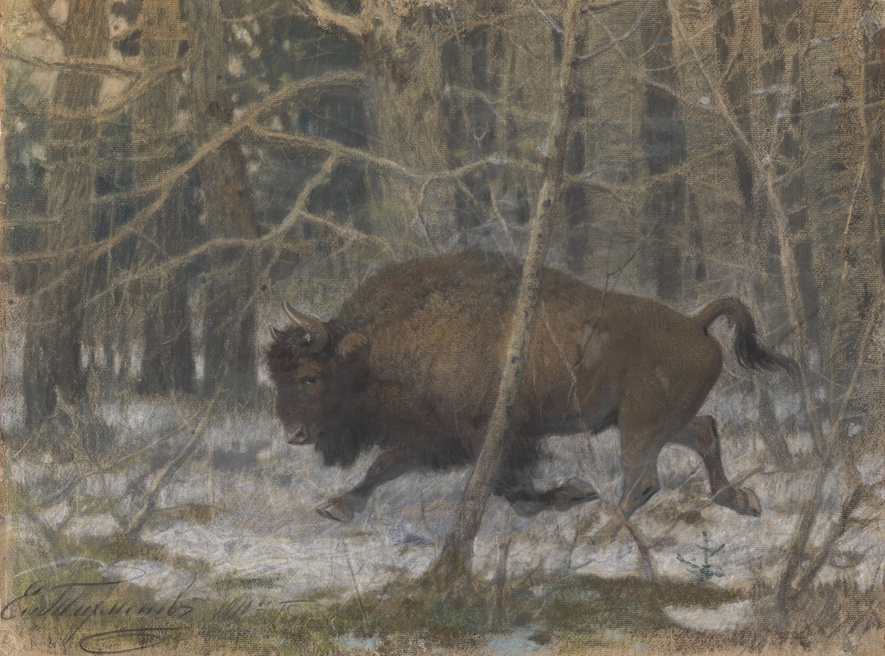 De houtbizon door Evgeny Alexandrovich Tichmenev