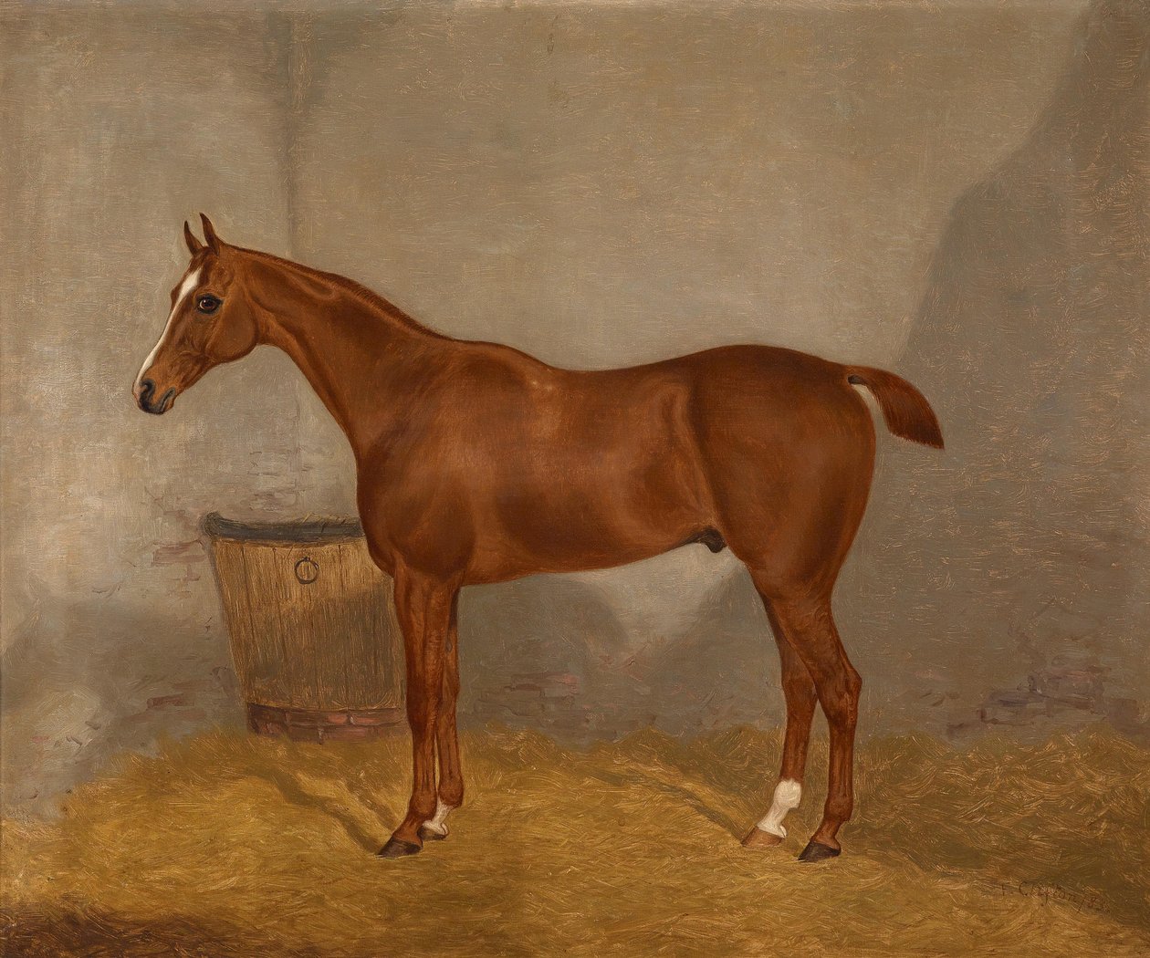 Paardenportret (Fireland of Cocktail, een van twee schilderijen in een lot met deze benamingen) door F. Clifton