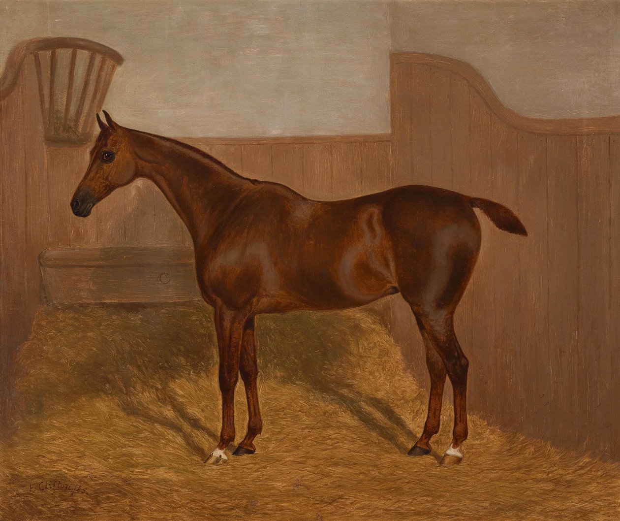 Paardenportret (Lady Oswestry of Dandy, een van twee schilderijen in een lot met deze benamingen) door F. Clifton