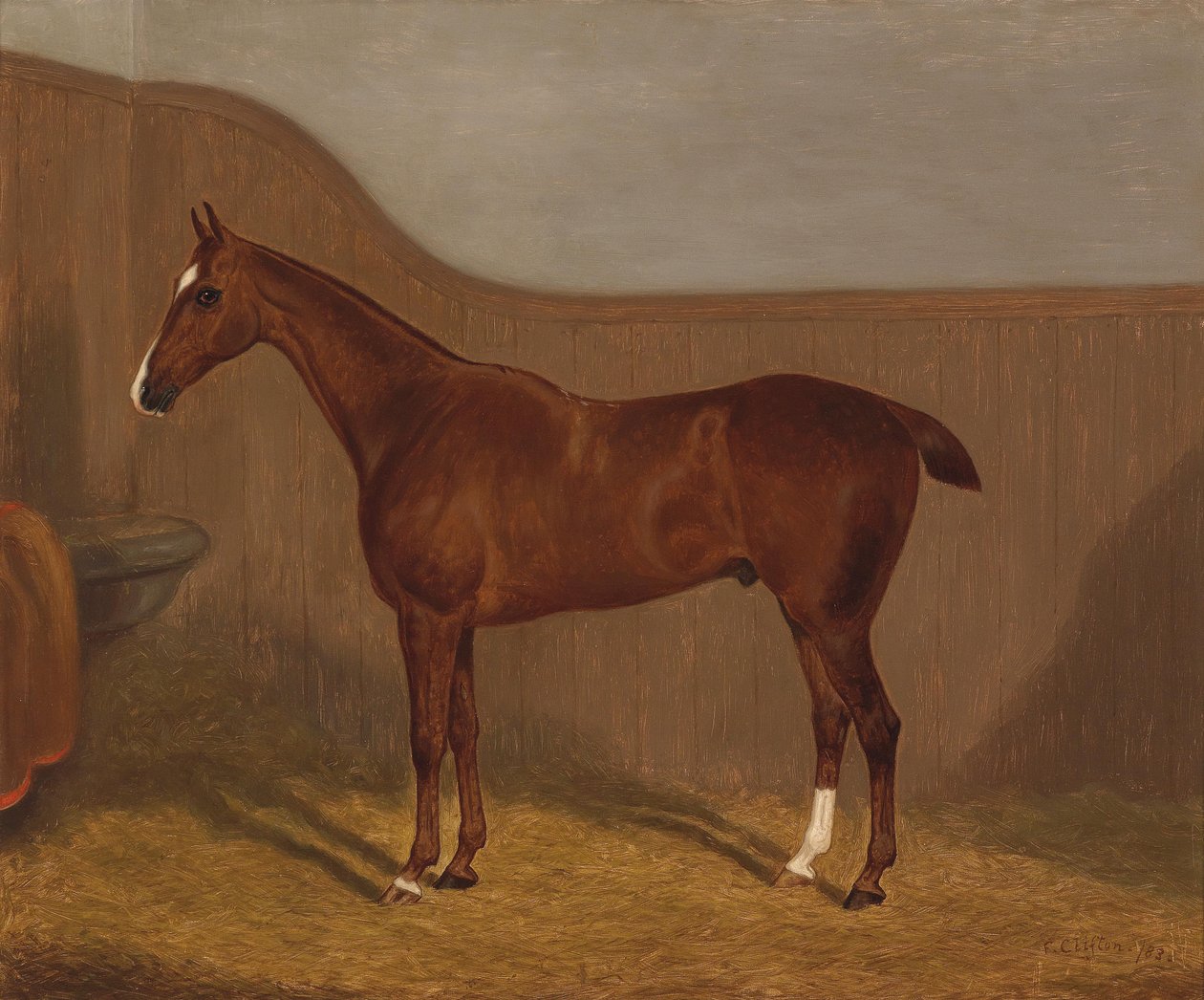 Paardenportret (Lady Oswestry of Dandy, een van twee schilderijen in een lot met deze benamingen) door F. Clifton