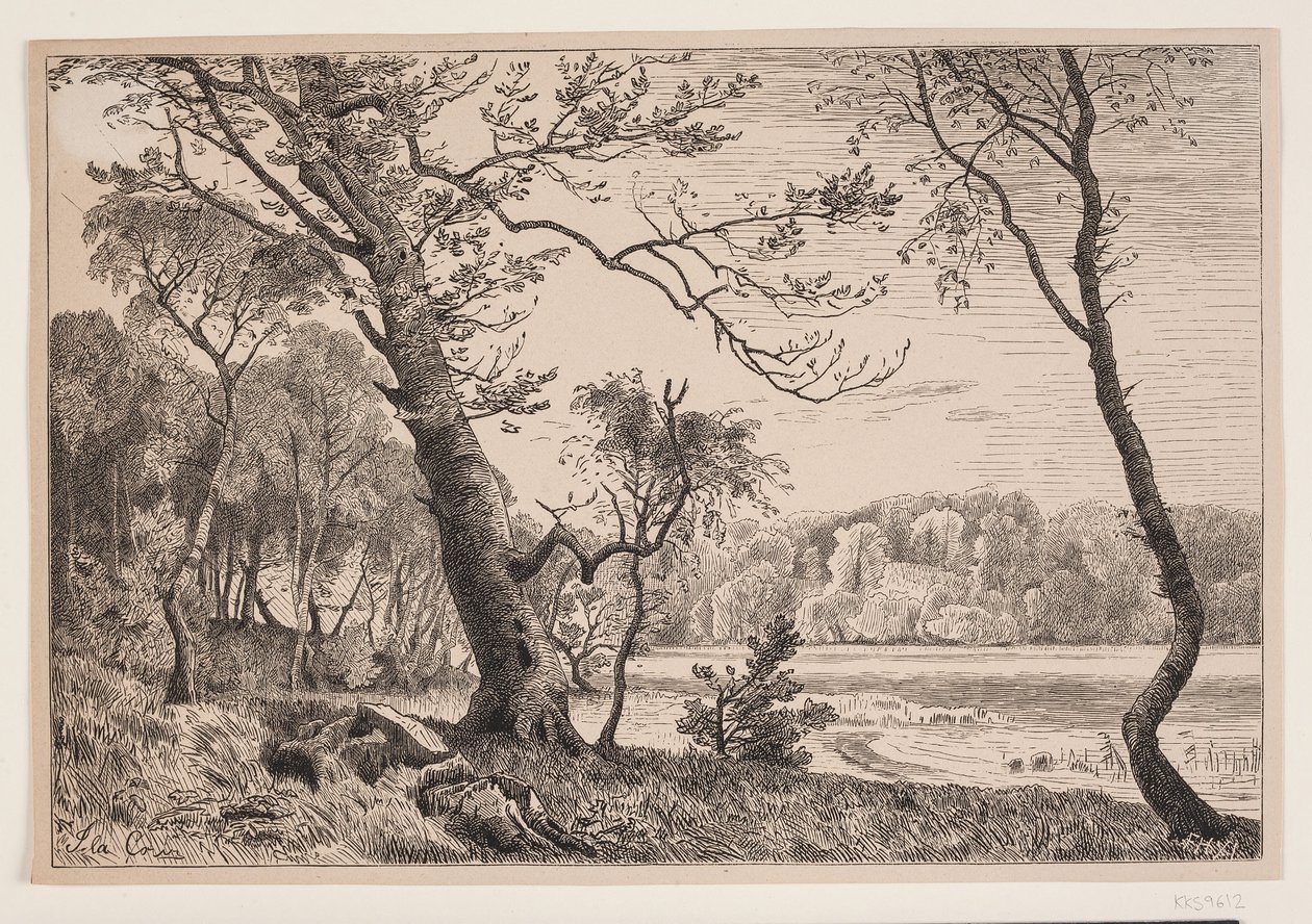 Het bos bij Silkeborg richting Fruens Bank door F. Hendriksen