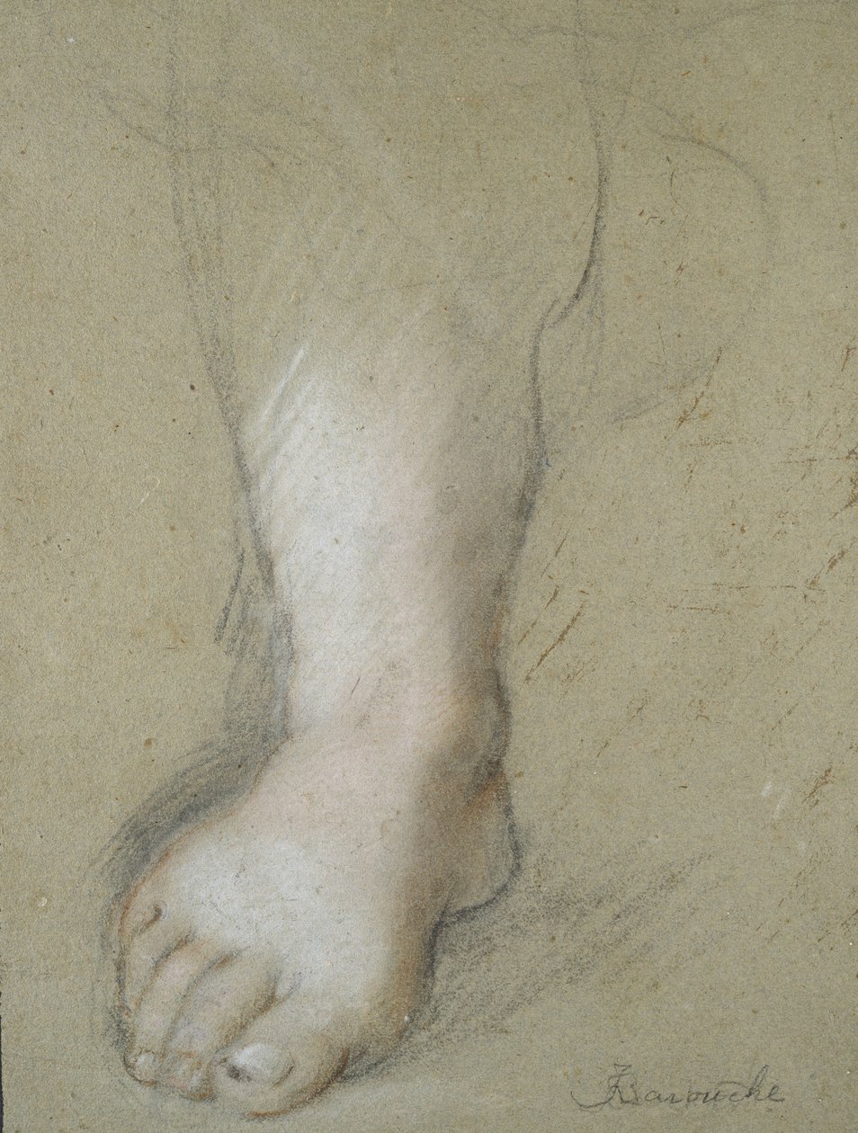 Studie van een voet door Federico Barocci