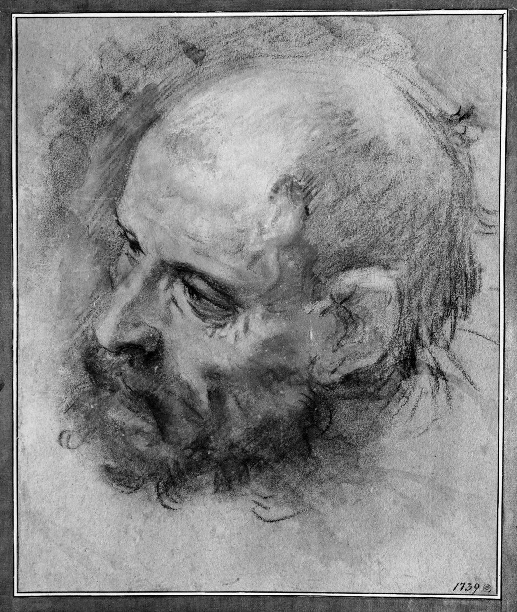 Kopstudie van een bebaarde man naar links gedraaid en zijwaarts geneigd door Federico Barocci