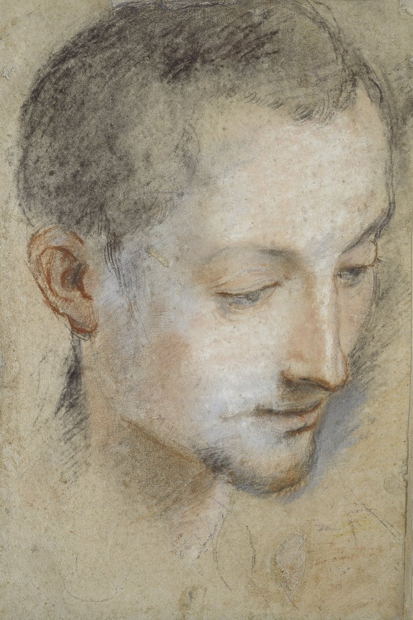 Studie van het Hoofd van een Jonge Man door Federico Barocci