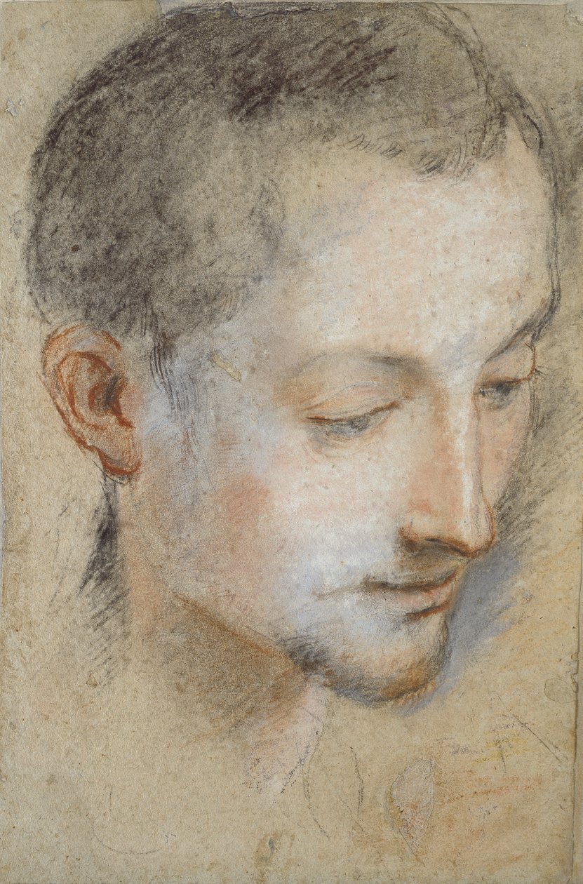 Studie van het hoofd van een jonge man door Federico Barocci