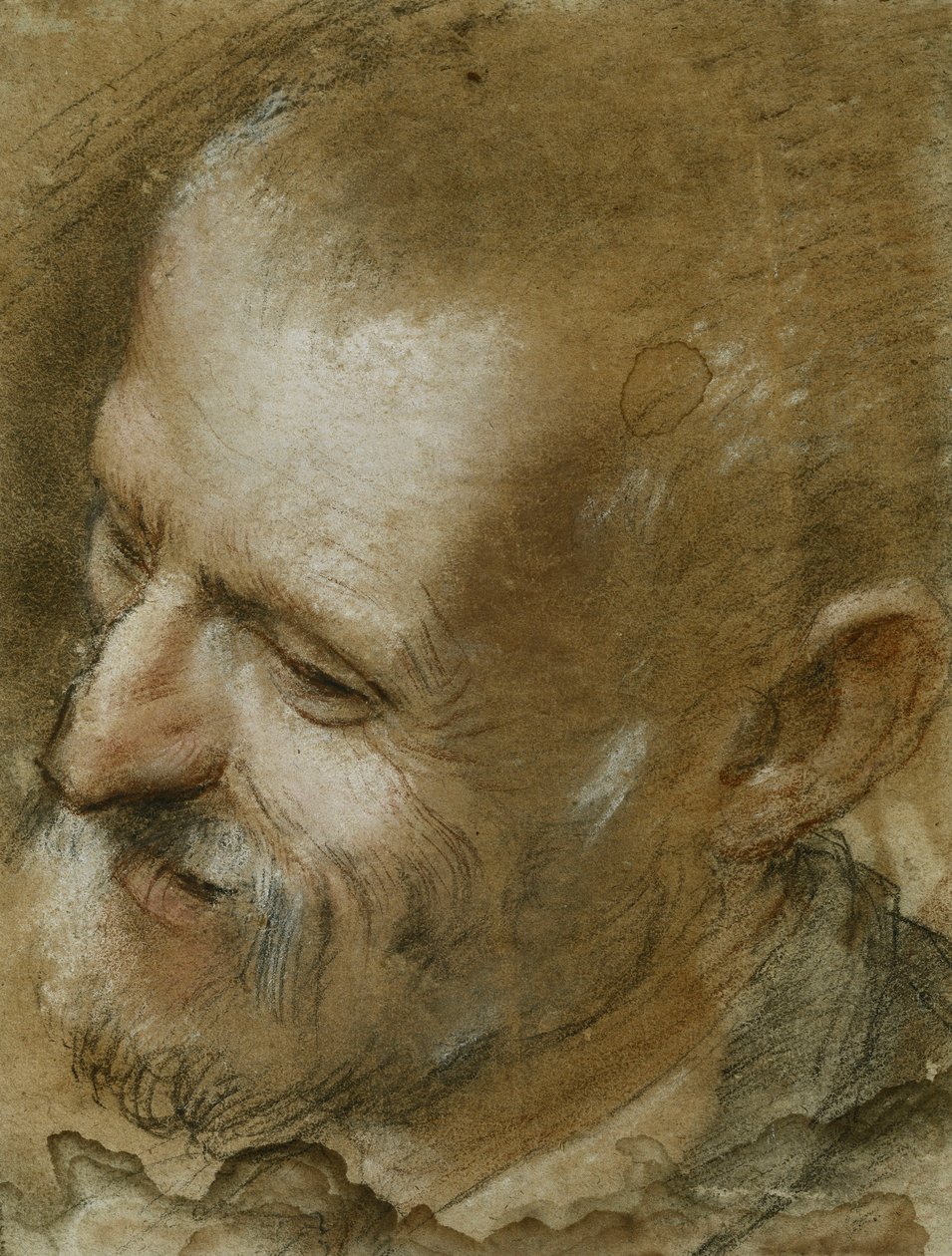 Studie van het hoofd van een bebaarde man naar links gedraaid, 1590 door Federico Fiori Barocci or Baroccio