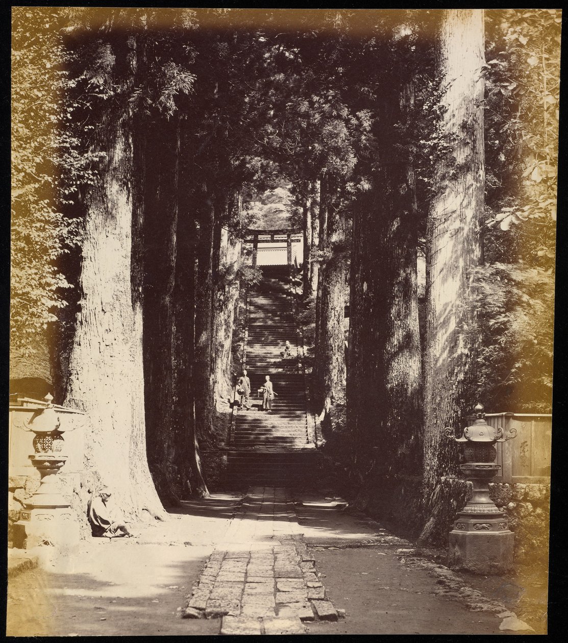 [Een laan met bomen die naar een tempel in Hakoni leidt] door Felice Beato