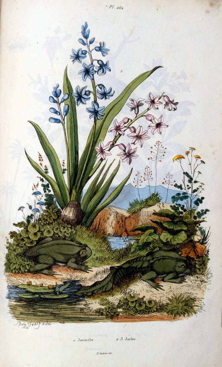 Pad door Felix-Edouard Guerin