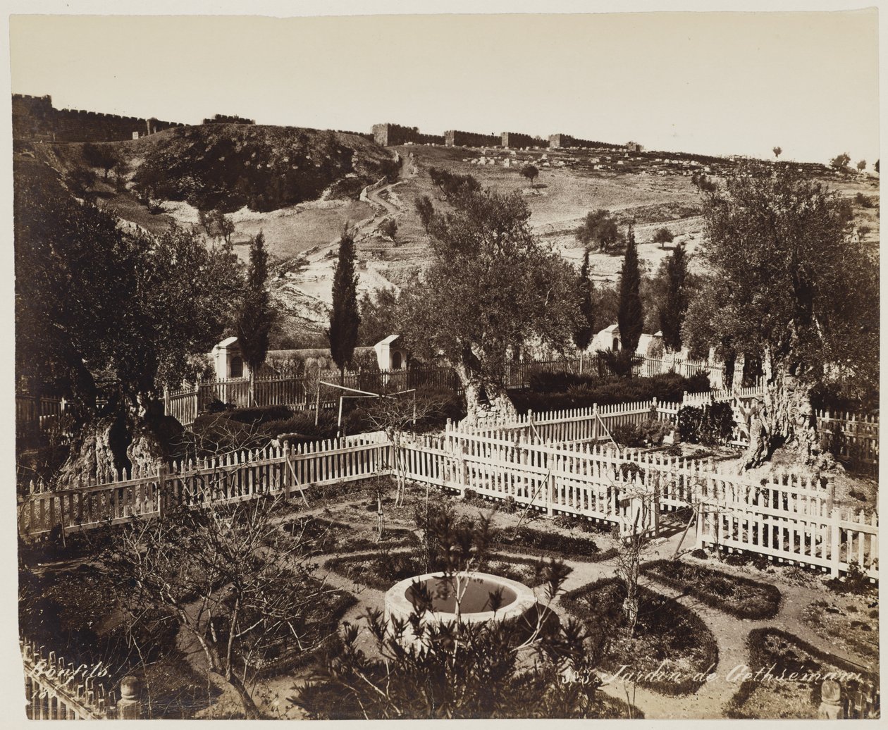 Jardin De Gethseman #303 door Félix Bonfils