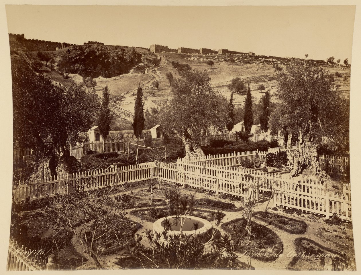 Tuin van Getsemane door Félix Bonfils