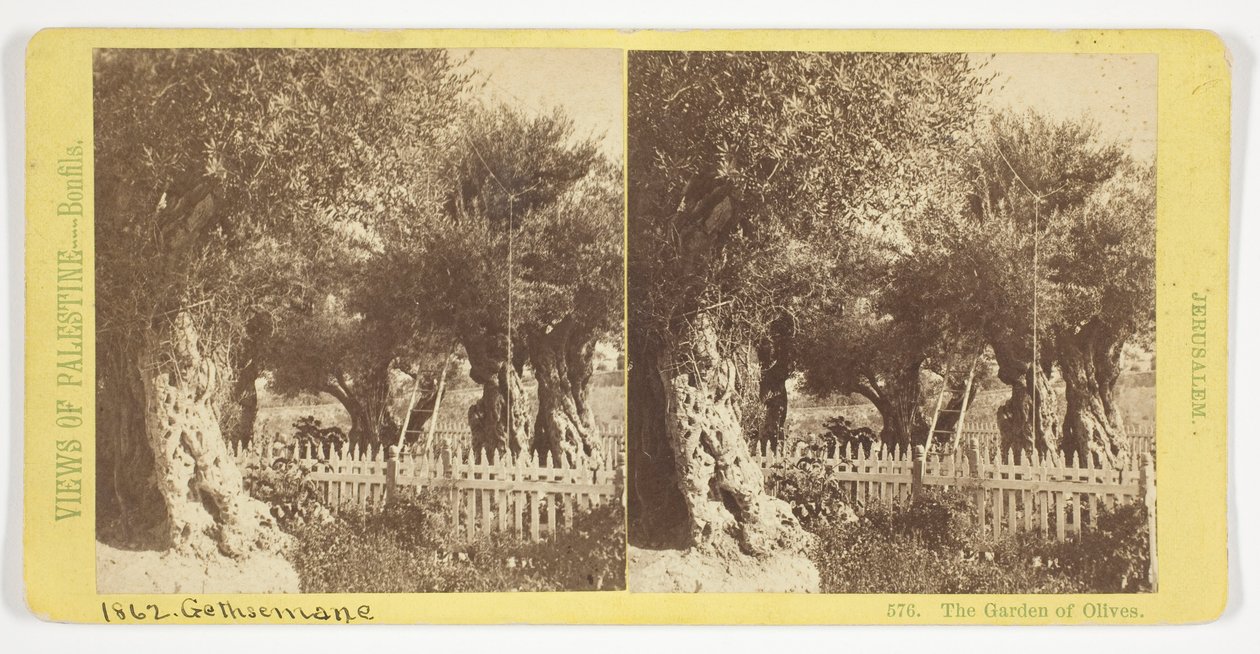 Der Garten der Oliven, Jerusalem, Nr. 576 aus der Serie "Ansichten von Palästina" door Félix Bonfils