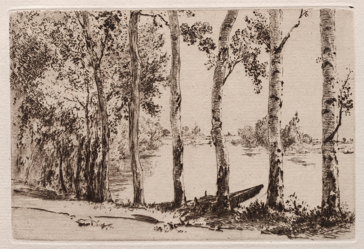 Aspens aan de oever van de Seine door Felix Bracquemond