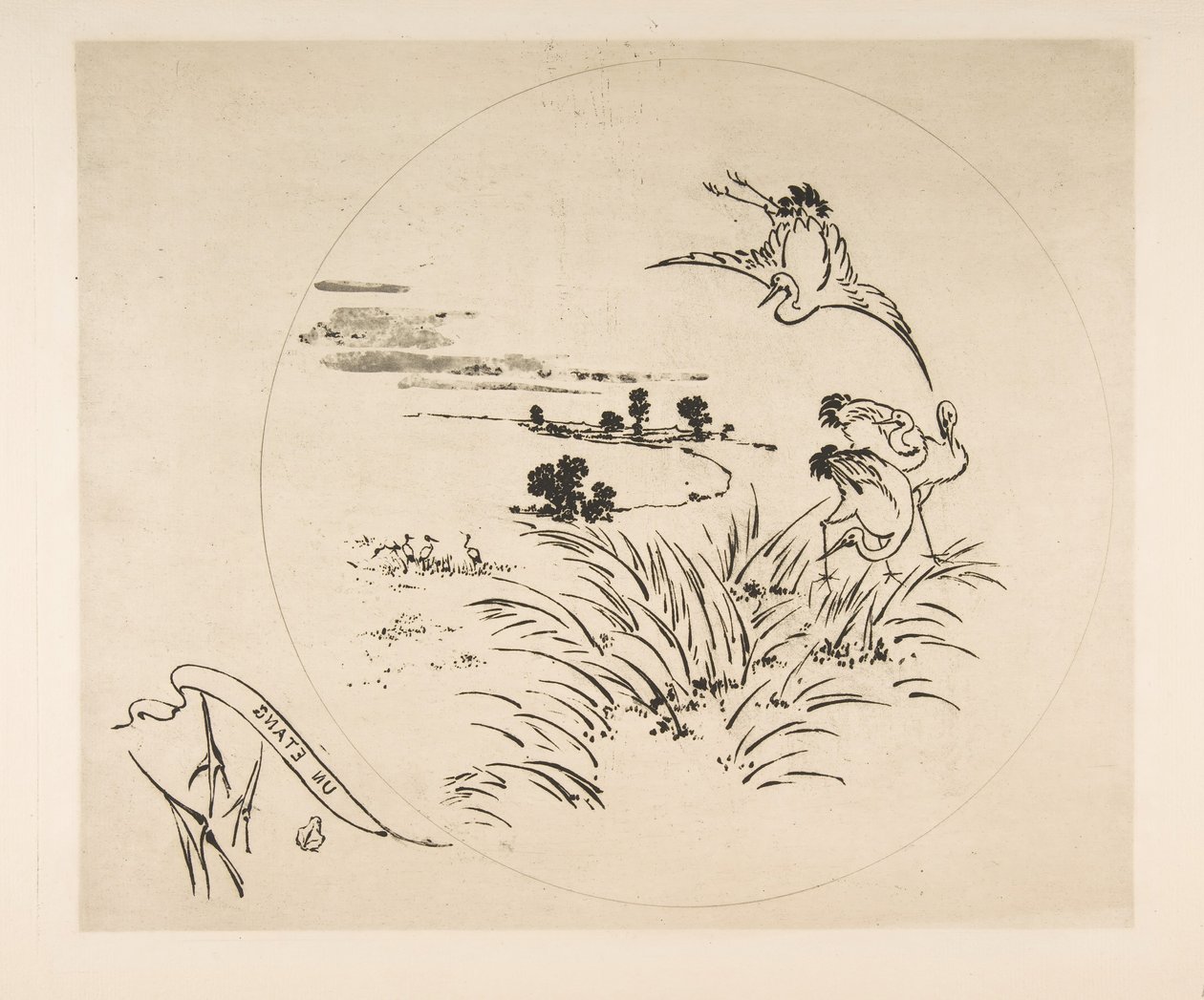 Decoratie voor een Bord: Een Vijver, 1870 door Felix Bracquemond