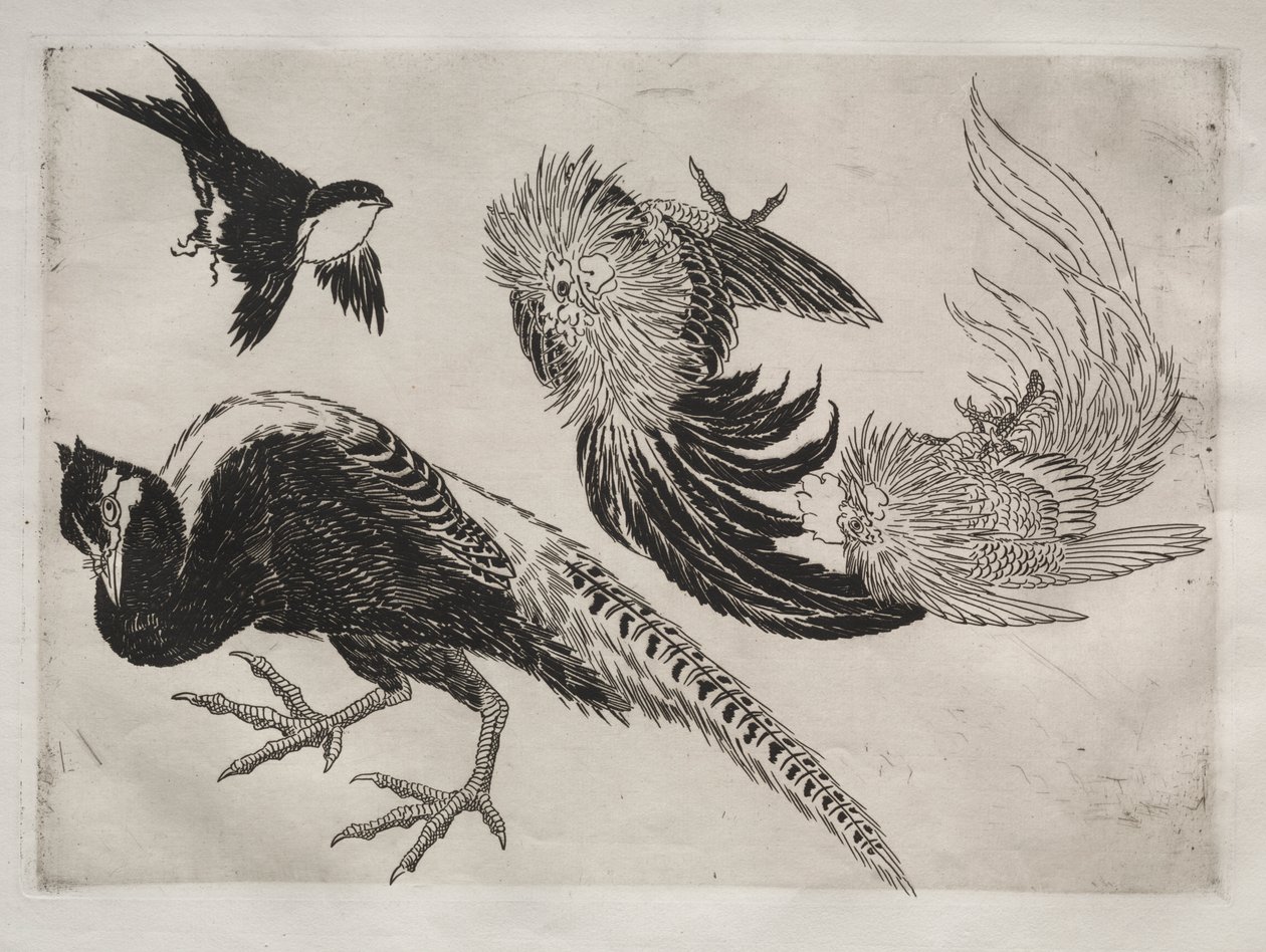 Dinerservies (Rousseau servies): Fazanten en vogel (nr. 18) door Felix Bracquemond