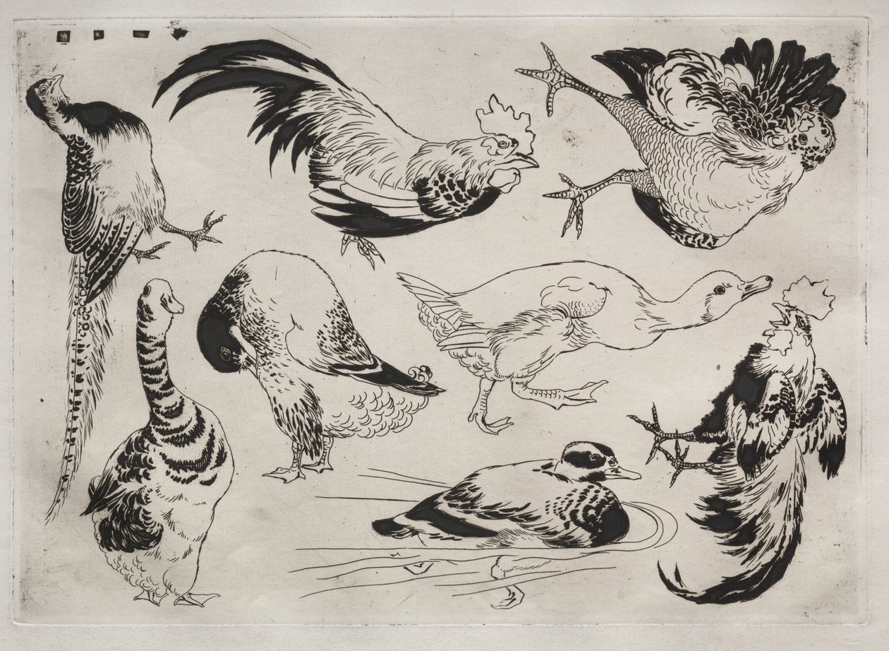 Dinerservies (Rousseau servies): Hanen, eenden, enz. (nr. 13) door Felix Bracquemond