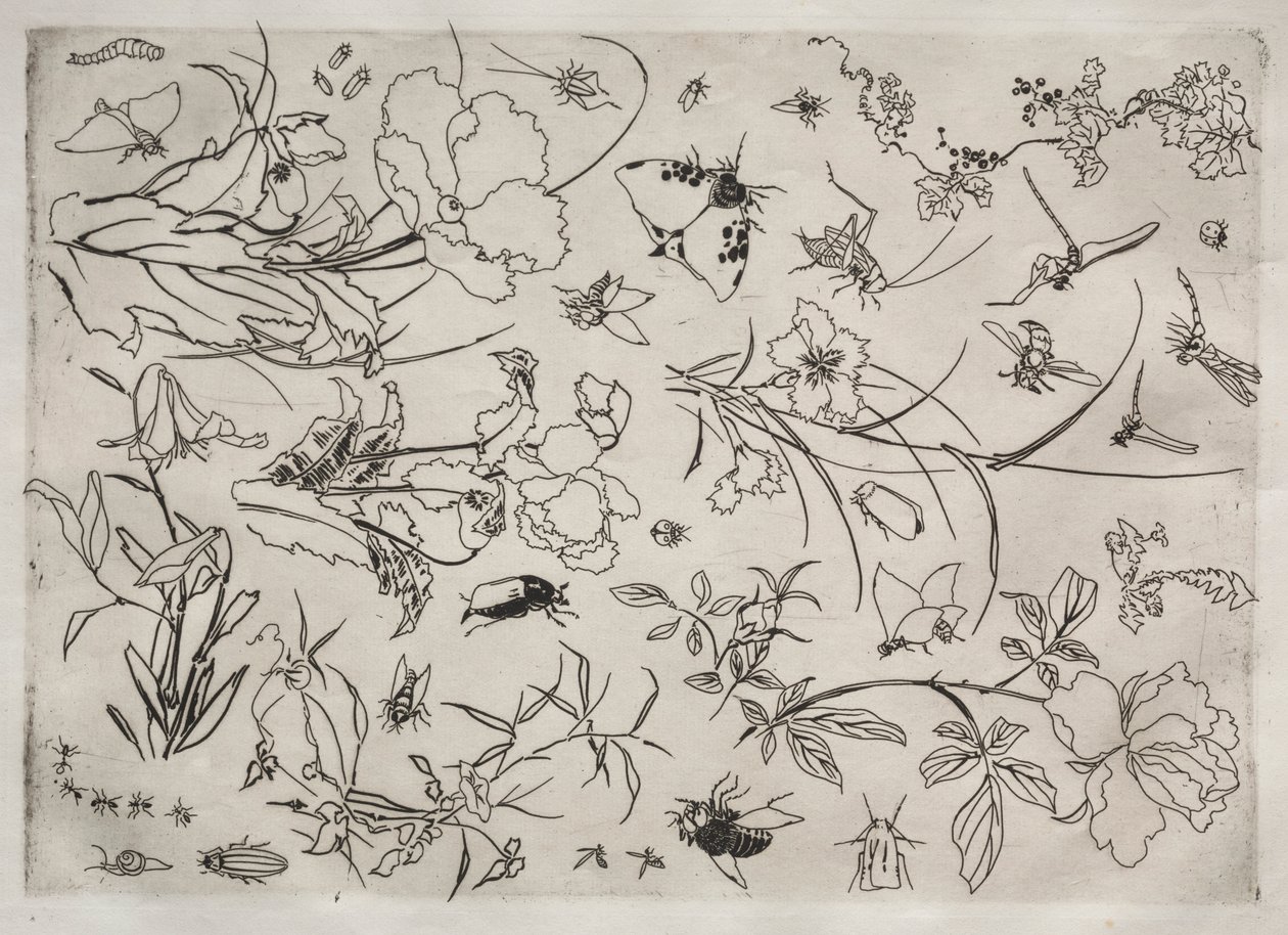 Dinerservies Rousseau servies: Bloemen en Insecten nr. 15, 1866 door Felix Bracquemond