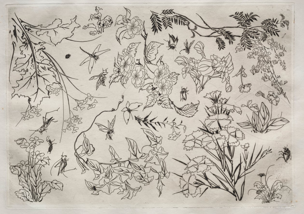 Dinerservies Rousseau servies: Bloemen nr. 22, 1866 door Felix Bracquemond