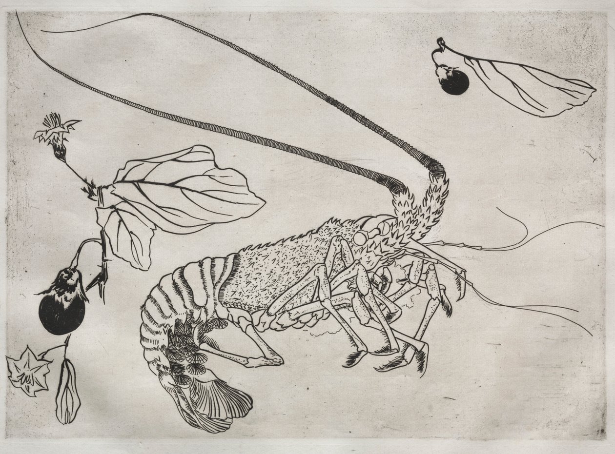 Grote kreeft met opgeheven antenne door Felix Bracquemond