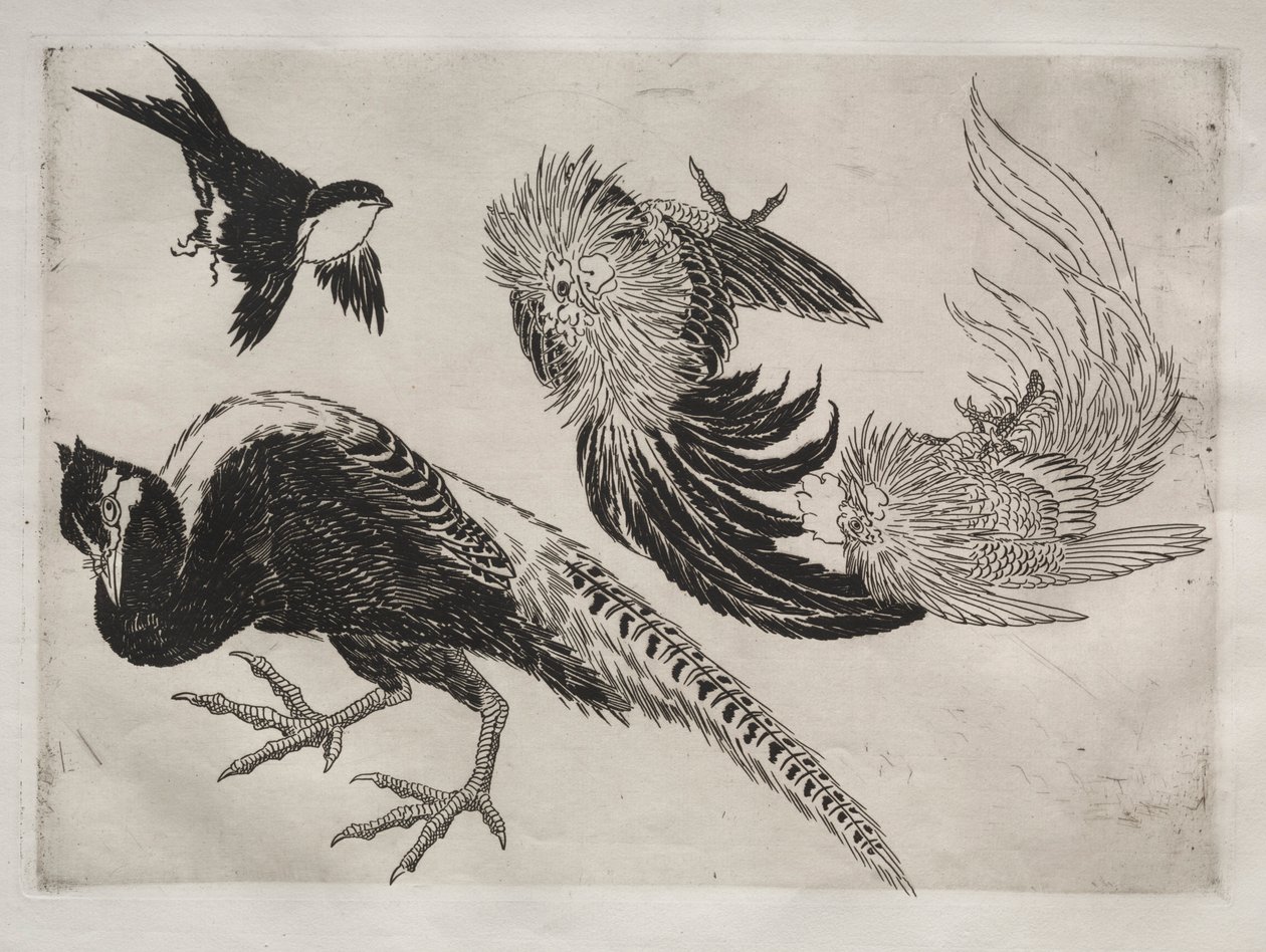 Dinerservies Rousseau servies: Fazanten en vogel nr. 18, 1866 door Felix Bracquemond
