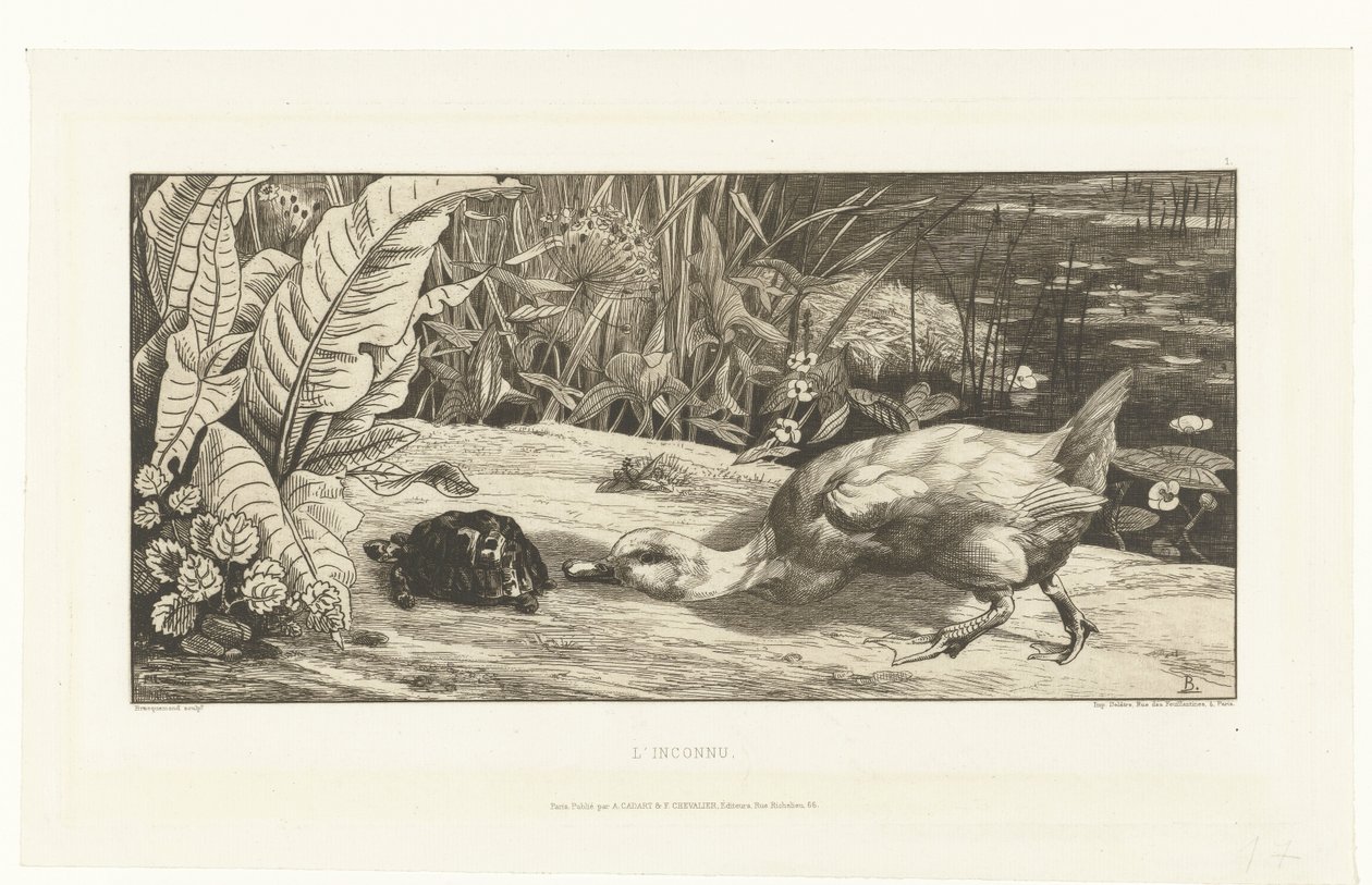 Eend en schildpad op oever van sloot door Felix Bracquemond