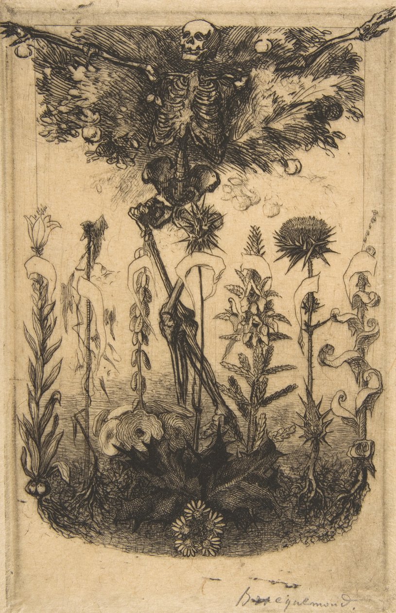 Frontispice voor Les Fleurs du Mal door Felix Bracquemond