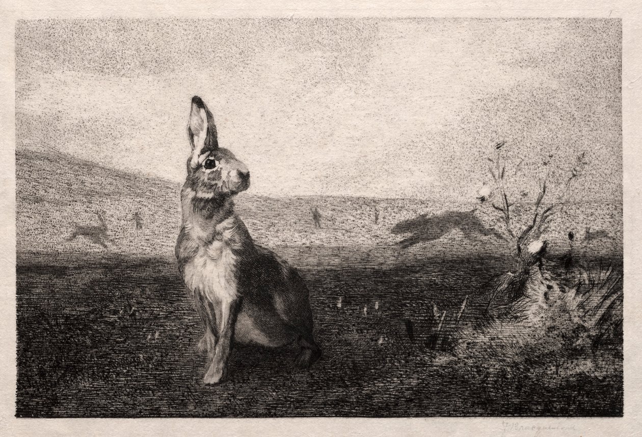 De haas na A. de Balleroy, 1865 door Felix Bracquemond
