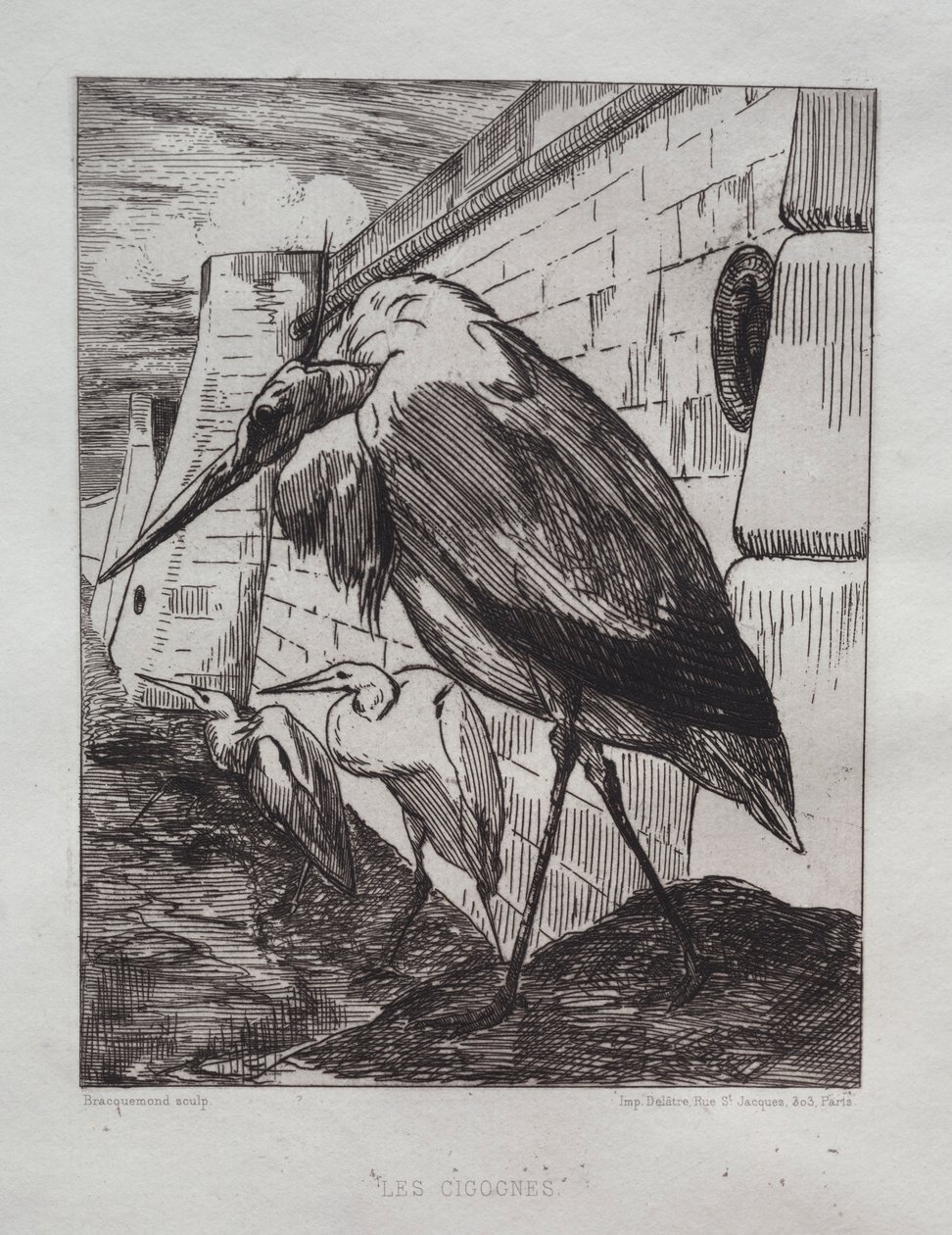 De ooievaars door Felix Bracquemond
