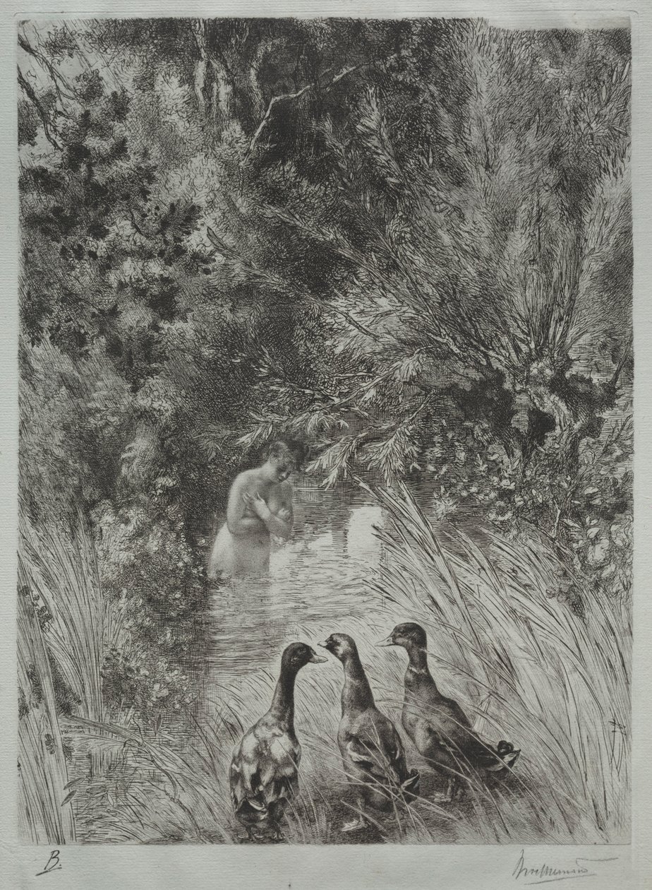 De verraste eenden door Felix Bracquemond