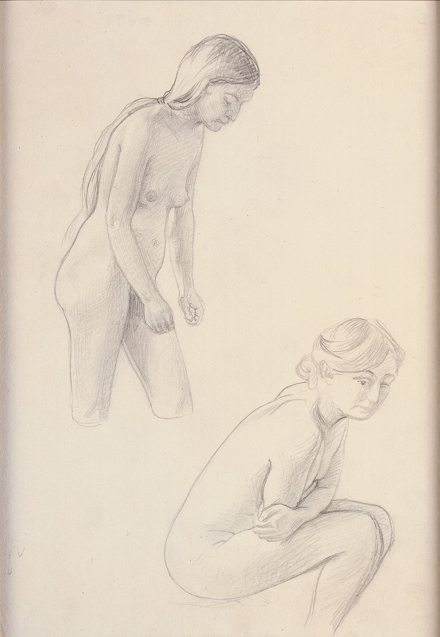 Twee naakten door Felix Edouard Vallotton