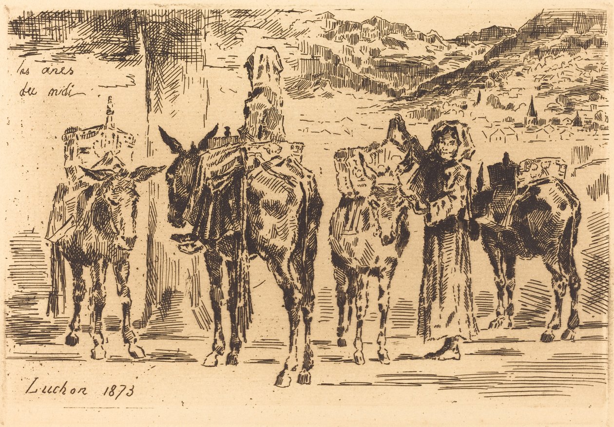 Bladeren van Ezel van het Zuiden door Felix Hilaire Buhot