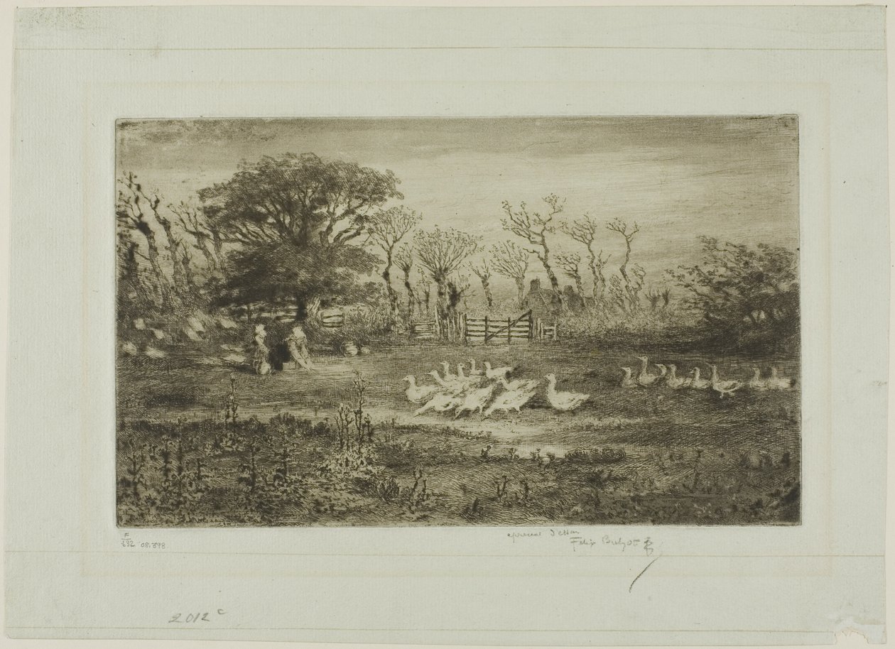 Ganzen door Felix Hilaire Buhot
