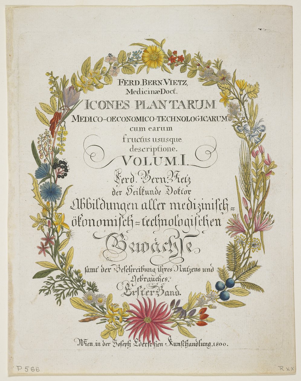 Frontispice en Titelpagina, Vol. I, uit Icones Plantarum Medico-Oeconomico-Technologicarum cum Earum Fructus ususque Descriptione, 1800 door Ferdinand Bernhard Vietz