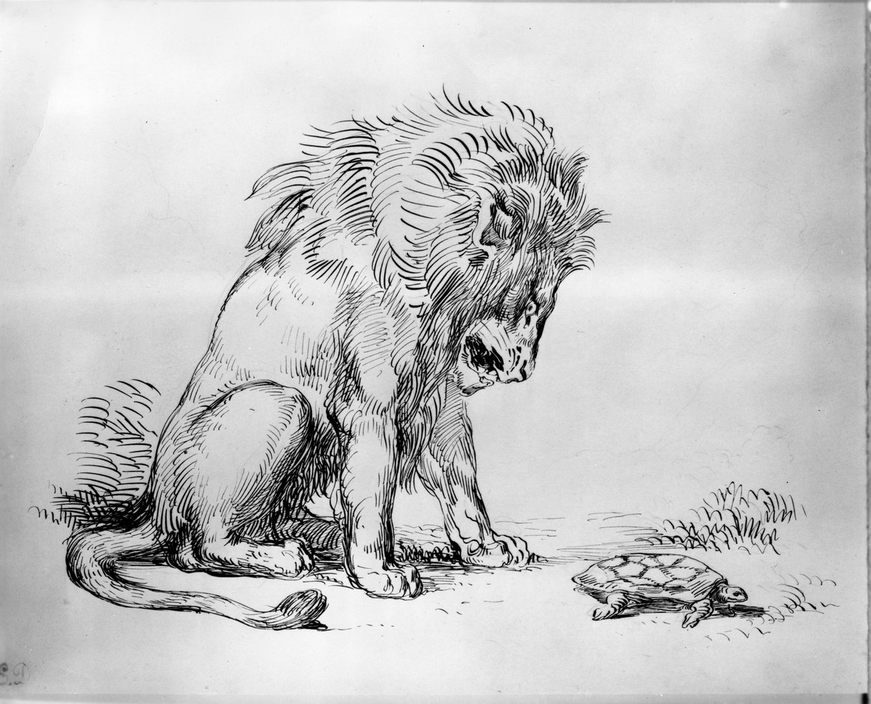 Leeuw en schildpad door Ferdinand Victor Eugene Delacroix