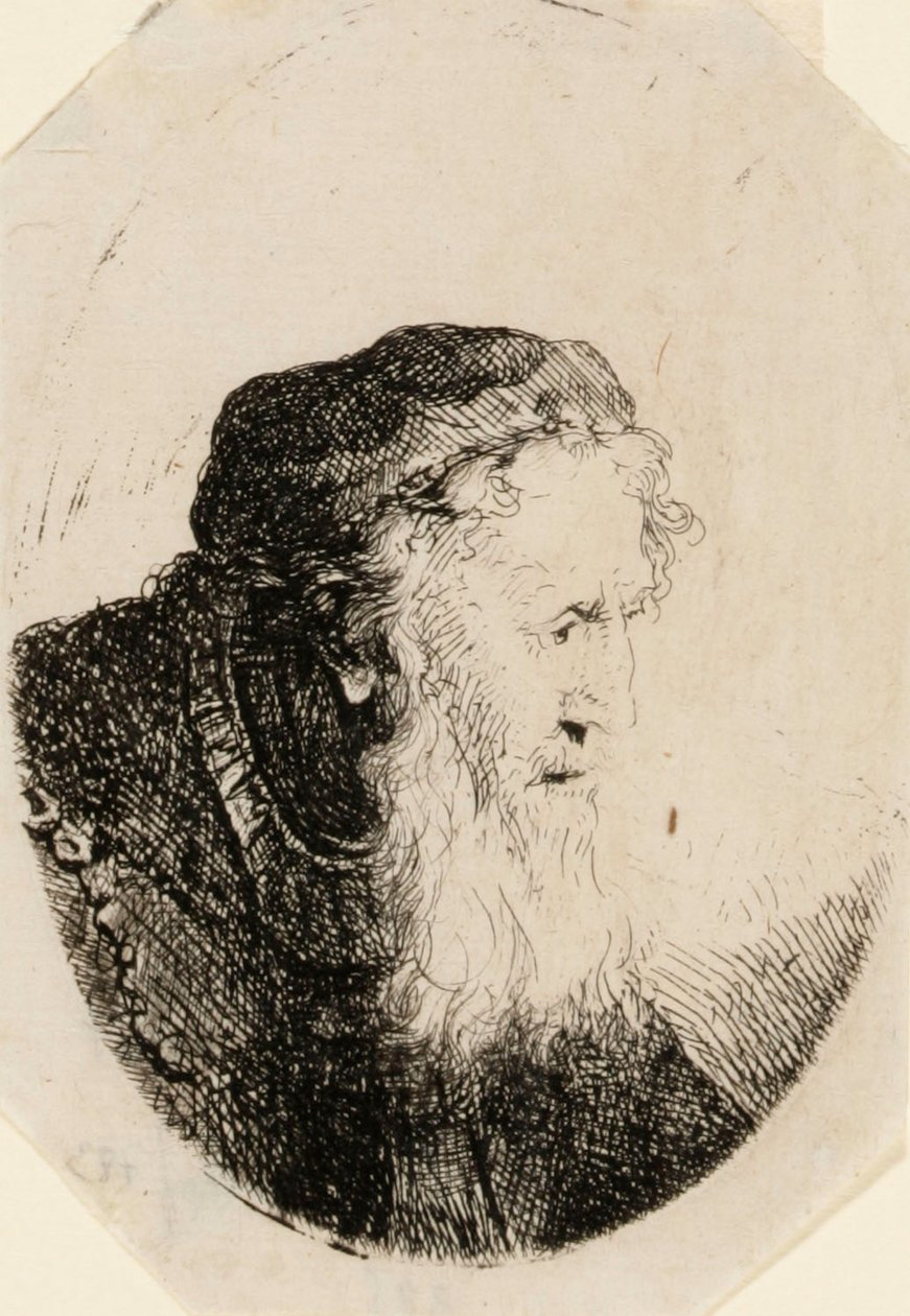 Oude man met golvende baard door Ferdinand Bol